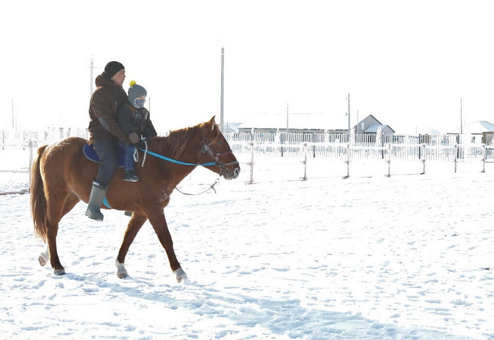 По коням, ребята!