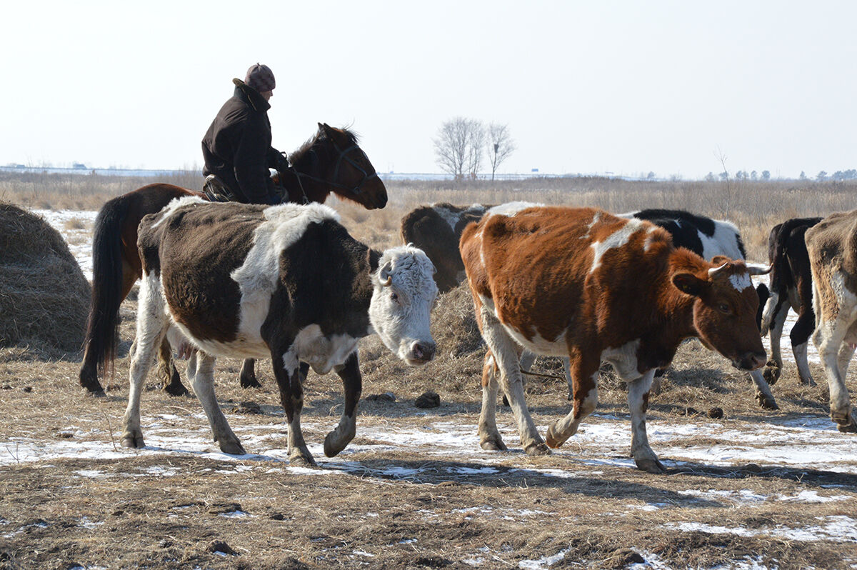 Барымта доведёт до суда