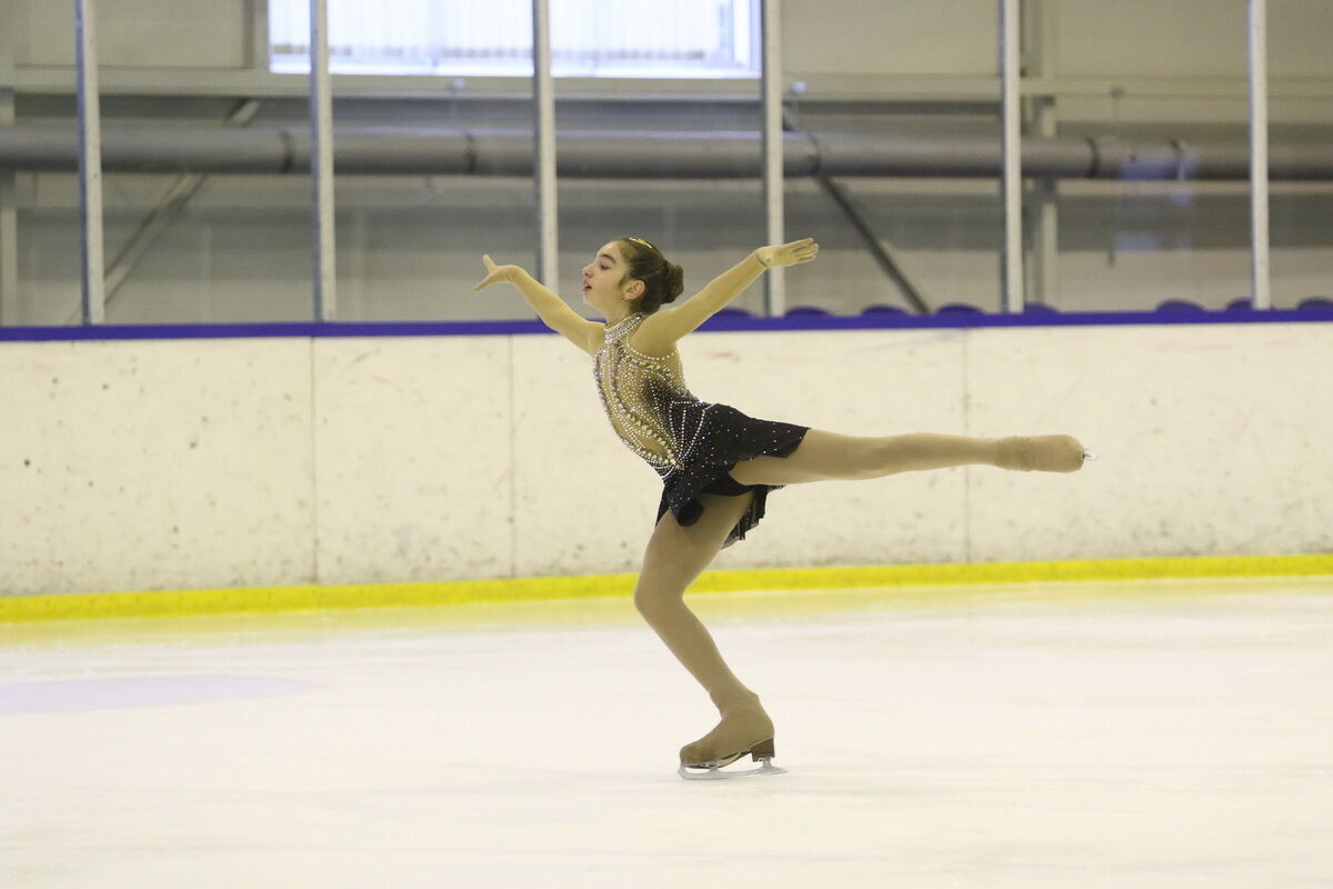 Ход коньком