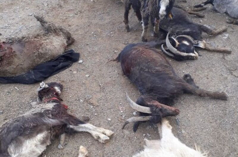 Смертельные осадки