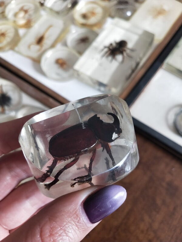 А бабочка крылышками - бяк! – Фото №3