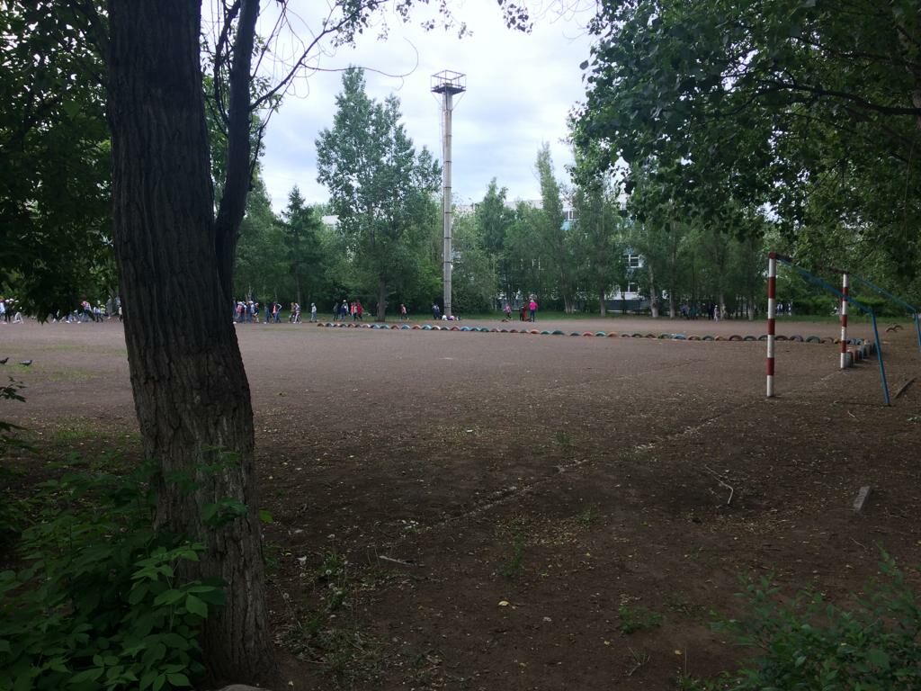 Радость с сомнением