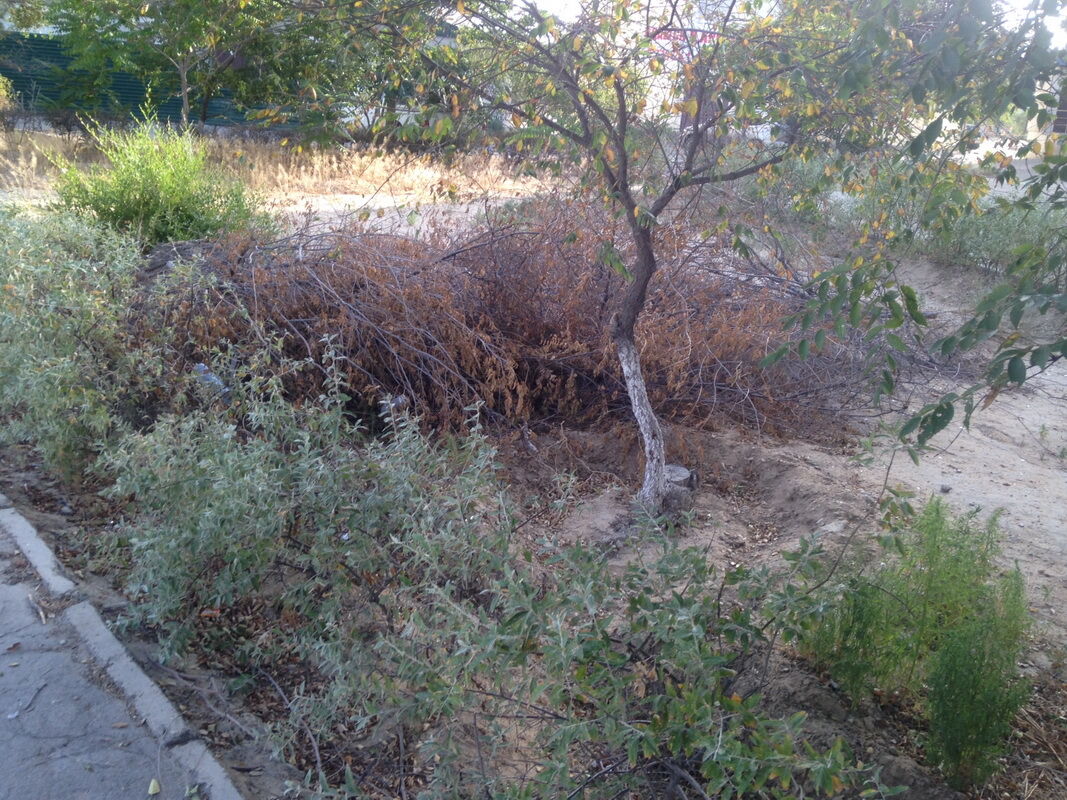 Засуха – Фото №4