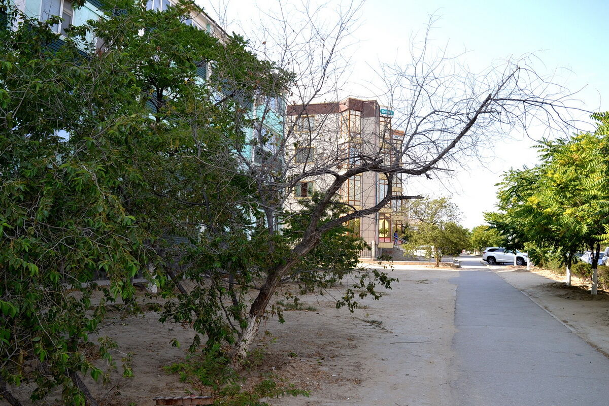 Засуха – Фото №3