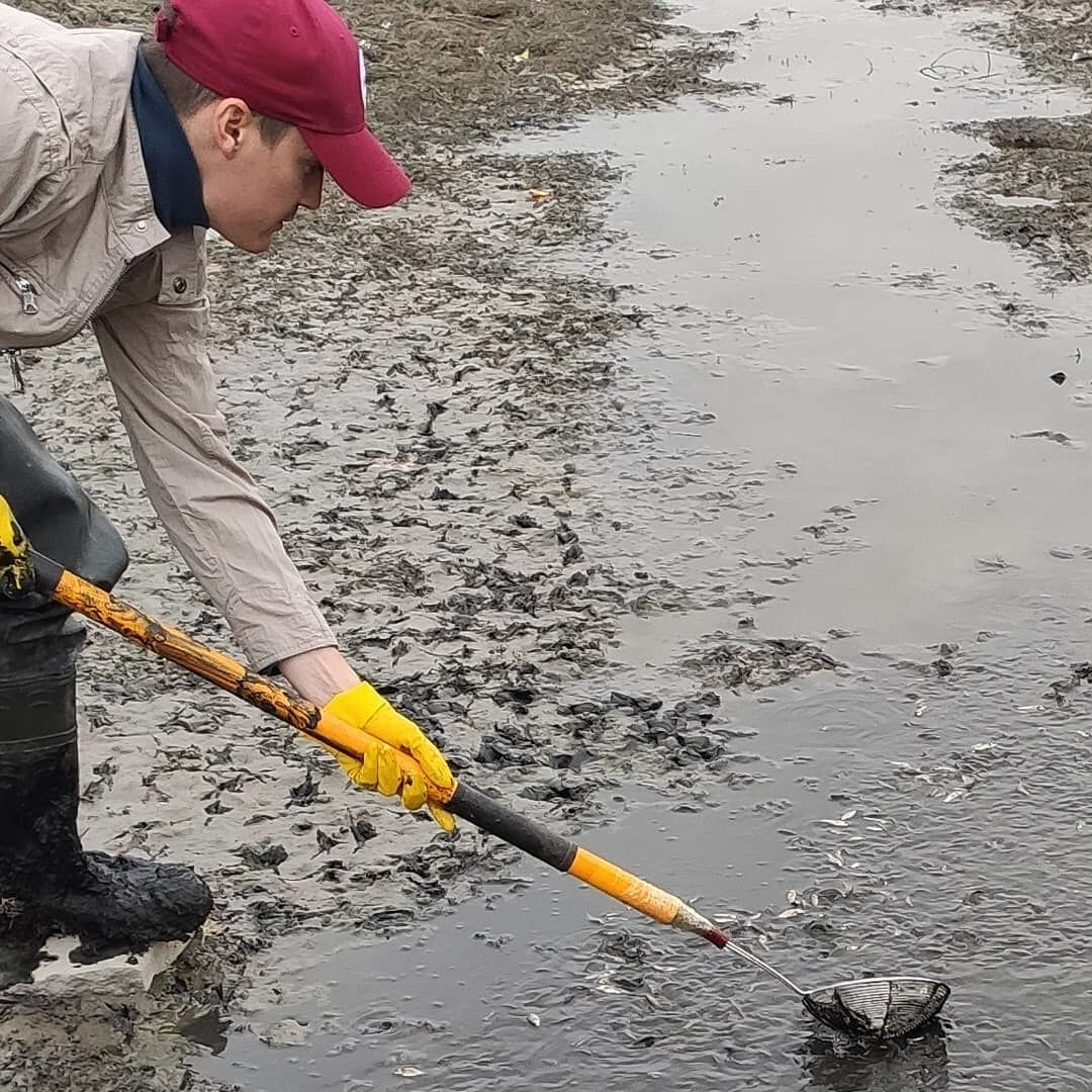 Рыбный день