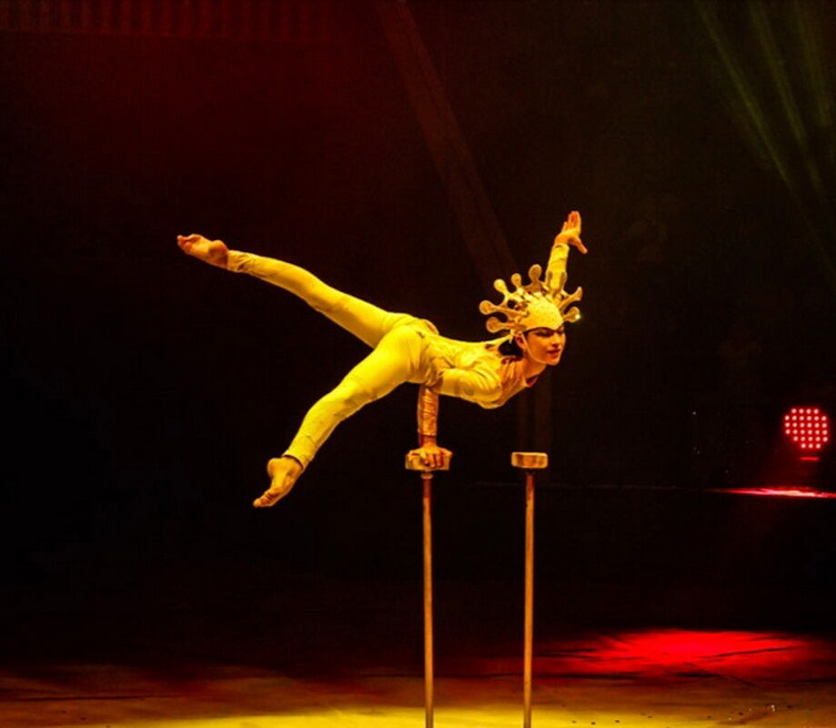 “Золотой мамонтёнок” для принцессы цирка
