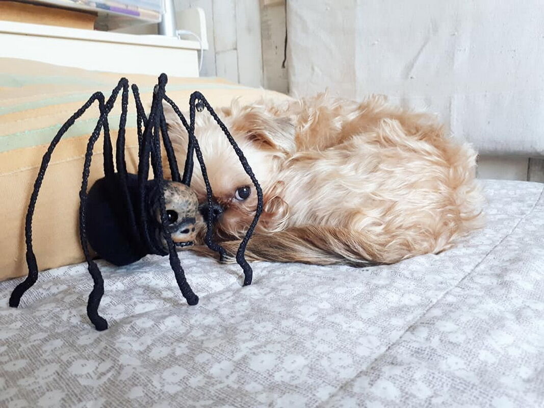 На лицо ужасные, добрые внутри – Фото №7 На лицо ужасные, добрые внутри – Фото №7