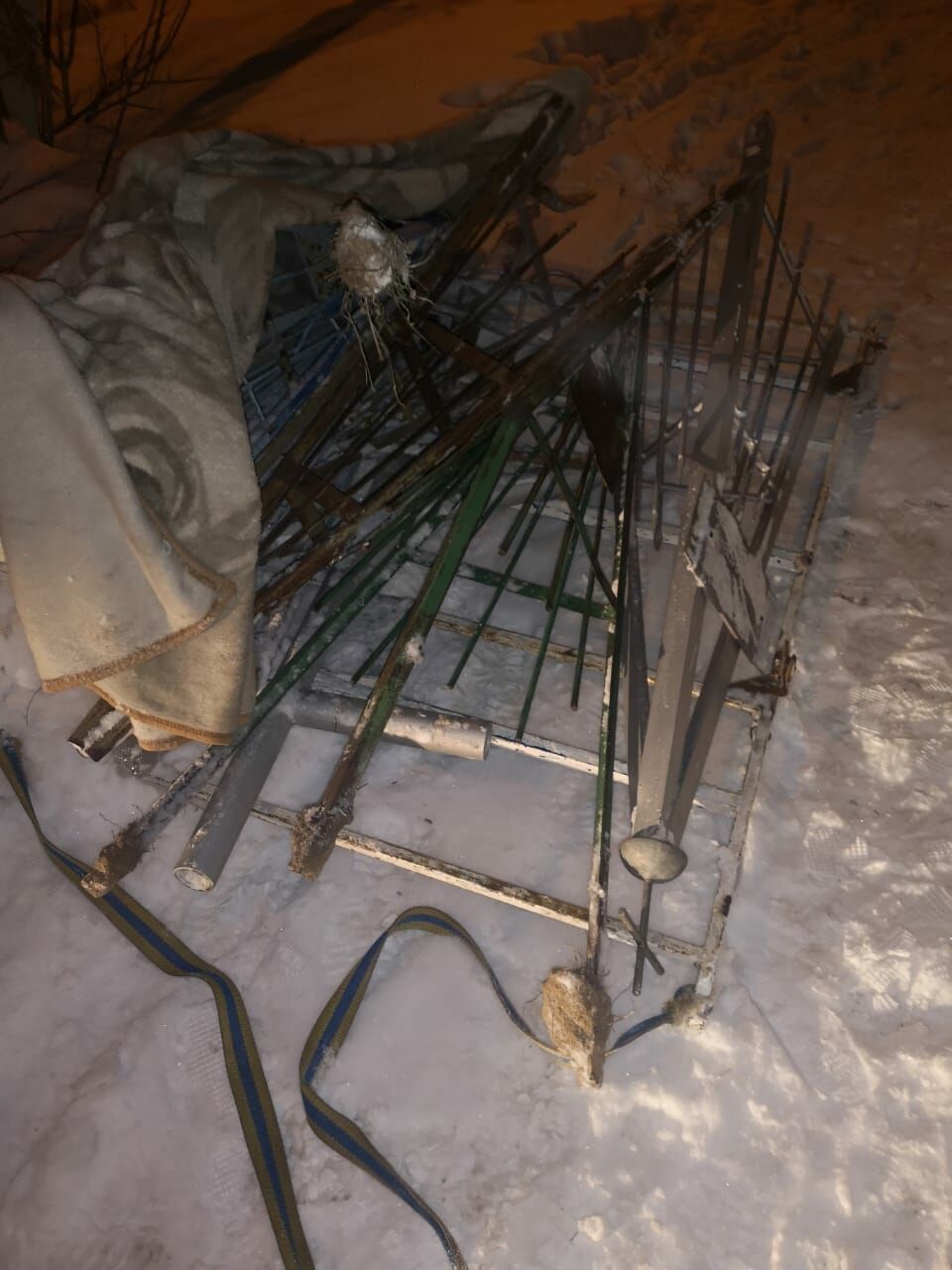 По холодным следам