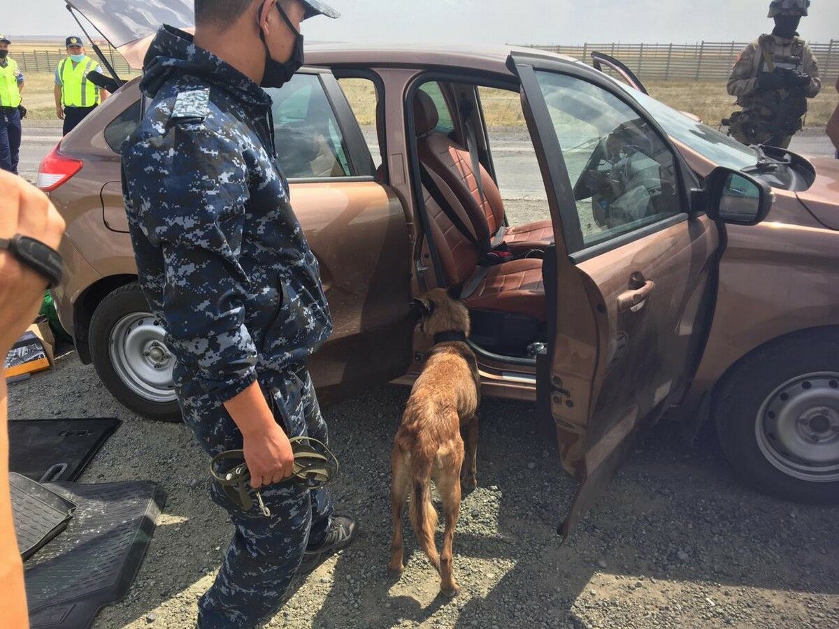 И сумка, полная травы