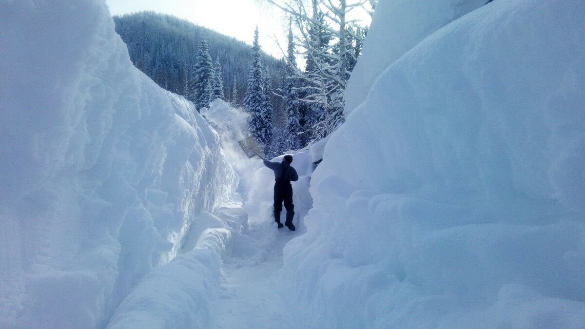 Что нам снег, что нам зной!..