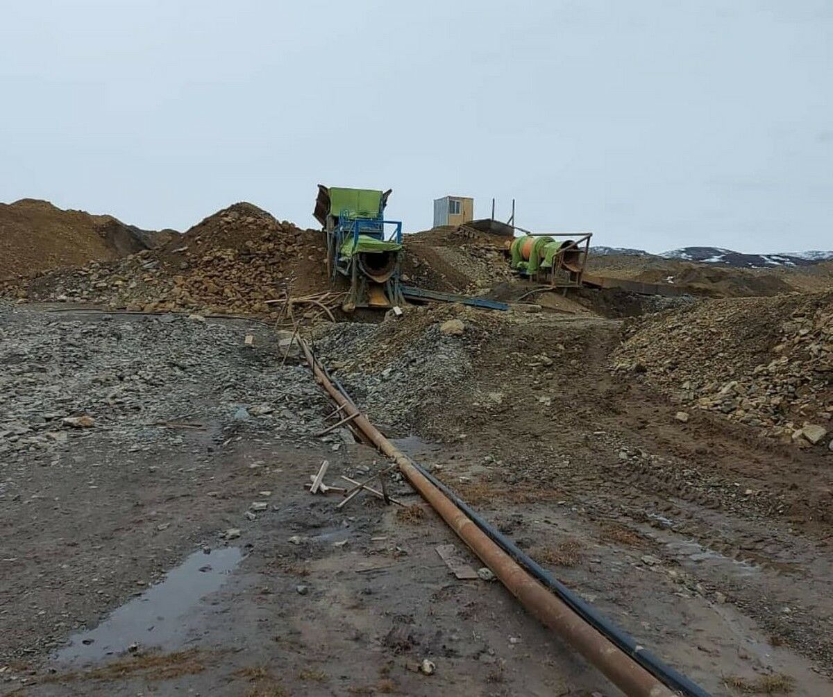 Чёрные старатели