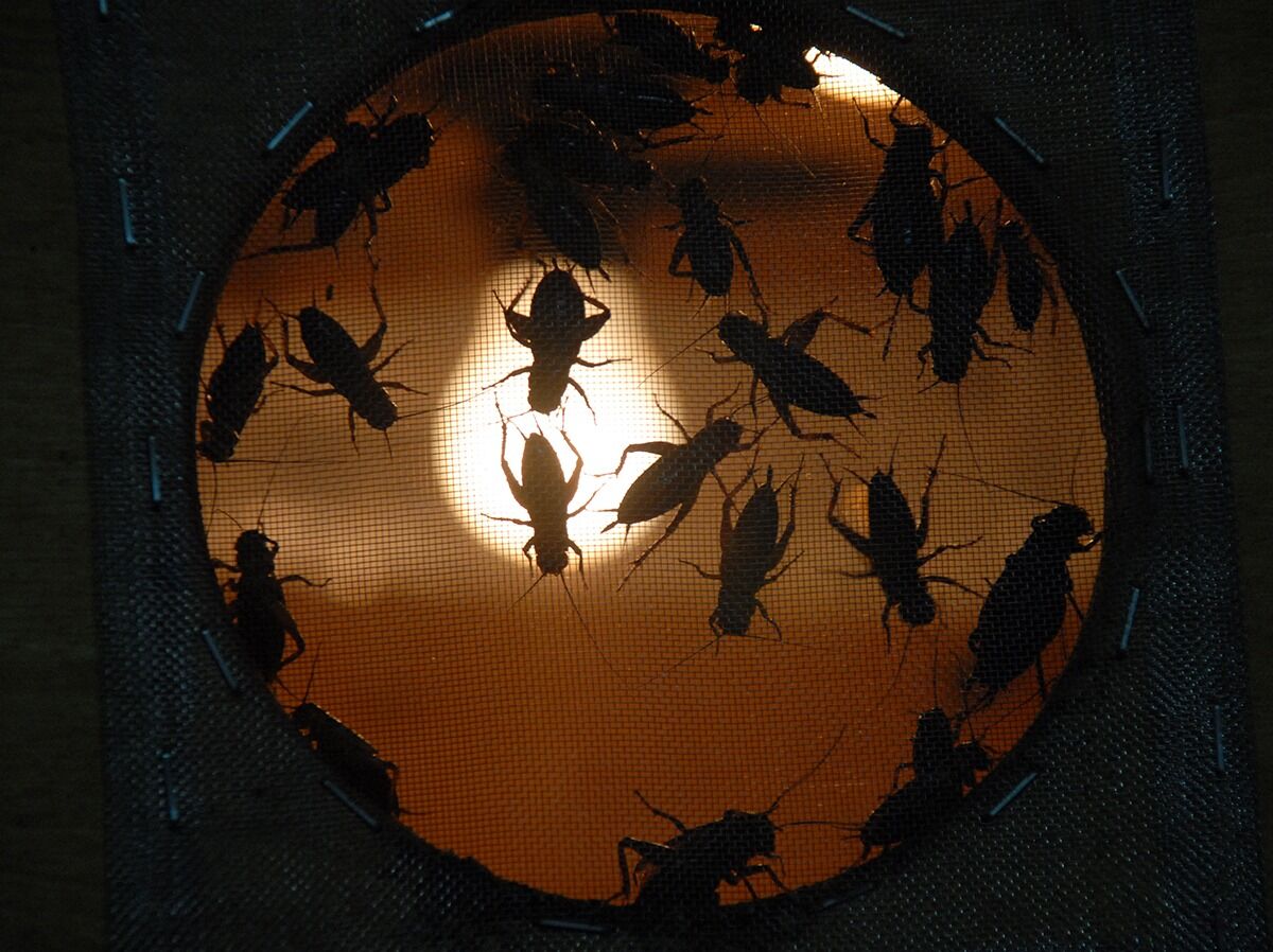 Предупреждать надо!