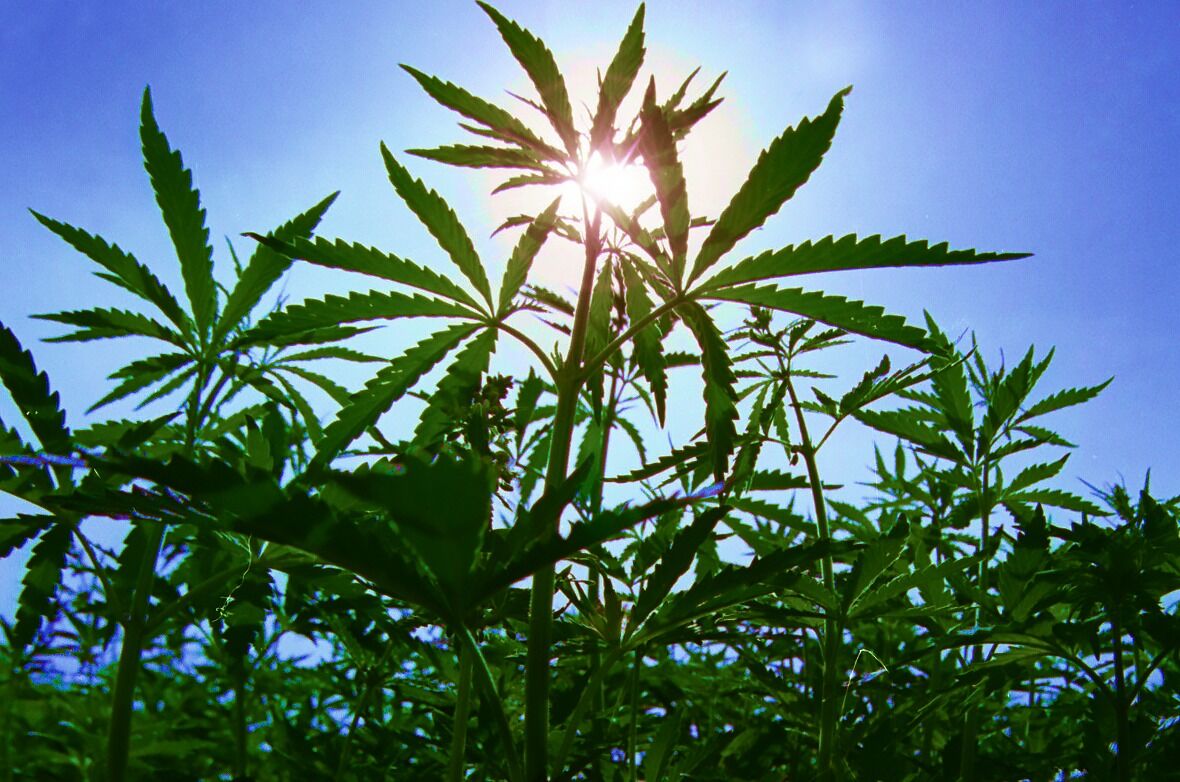 Бес попутал?