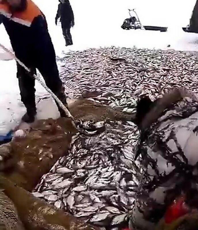 В погоне за лайками - сплошные проблемы