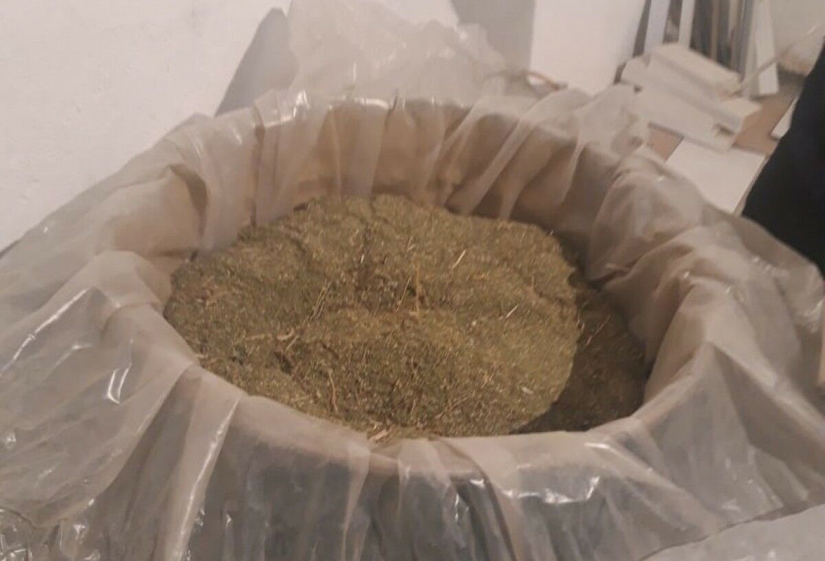 Трава-отрава