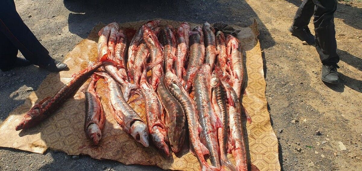 Взяты  с поличным