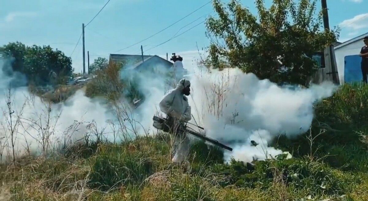 Нет житья от кровососов