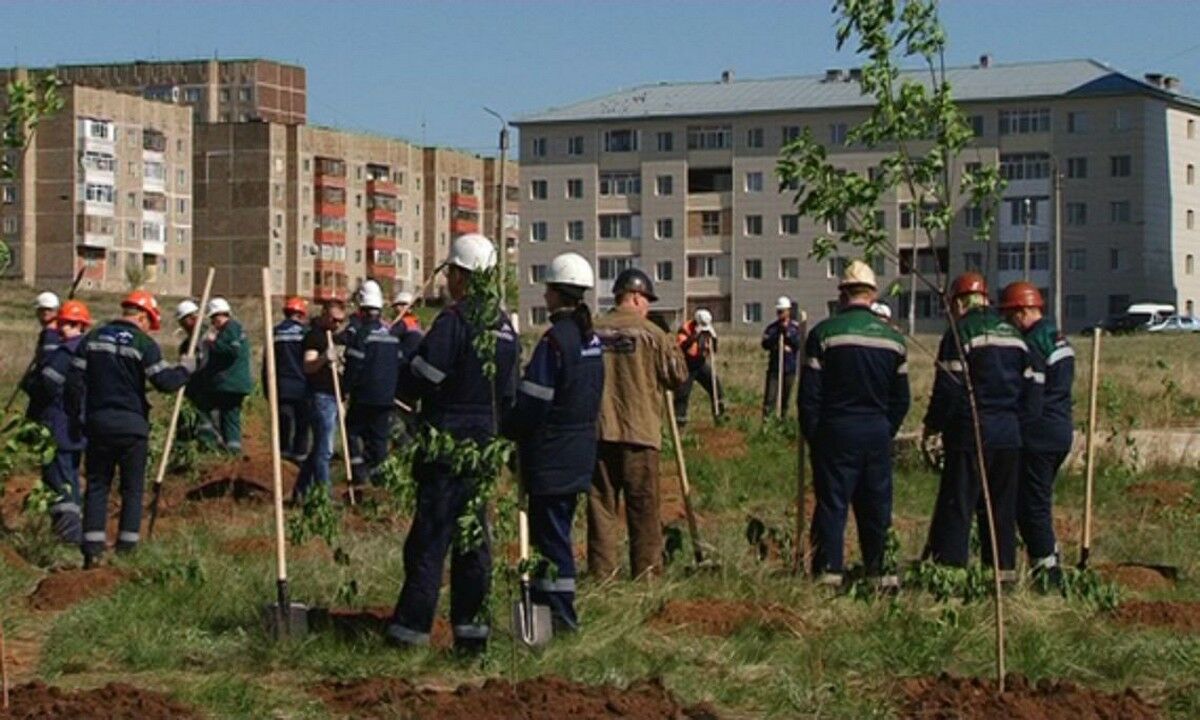 Частники хуже чиновников?