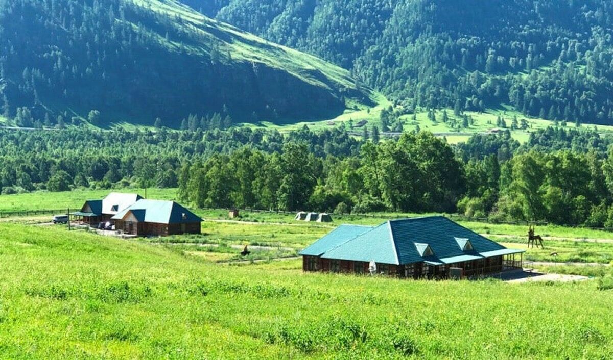 Гостей по осени считают