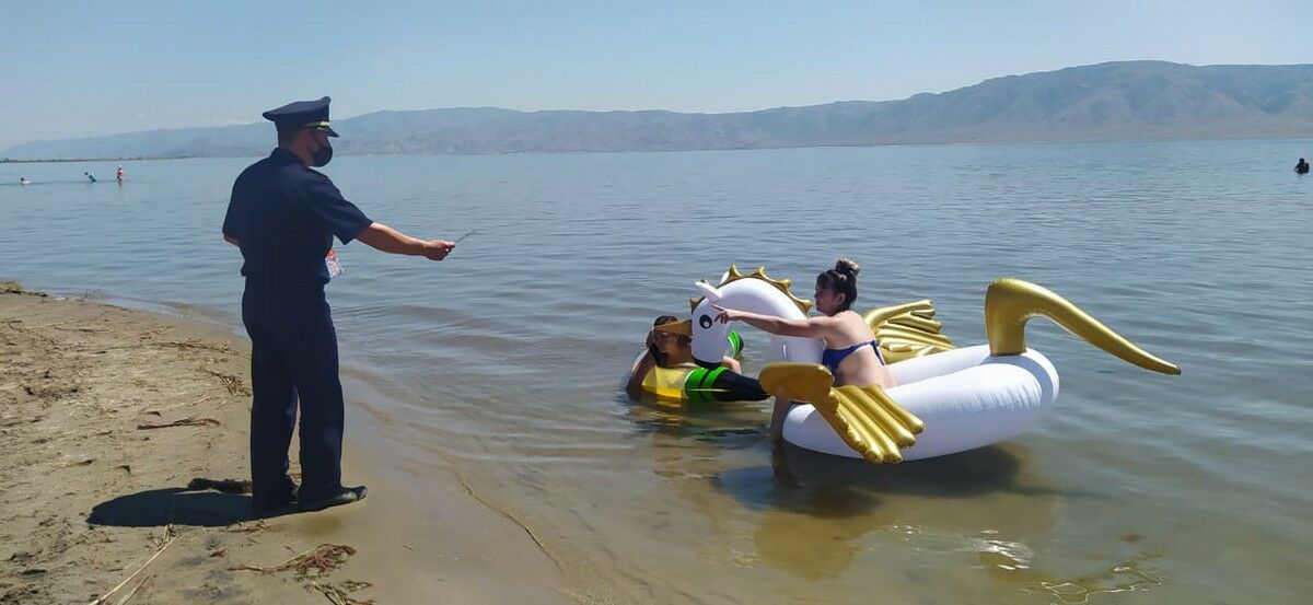 Выбор невелик