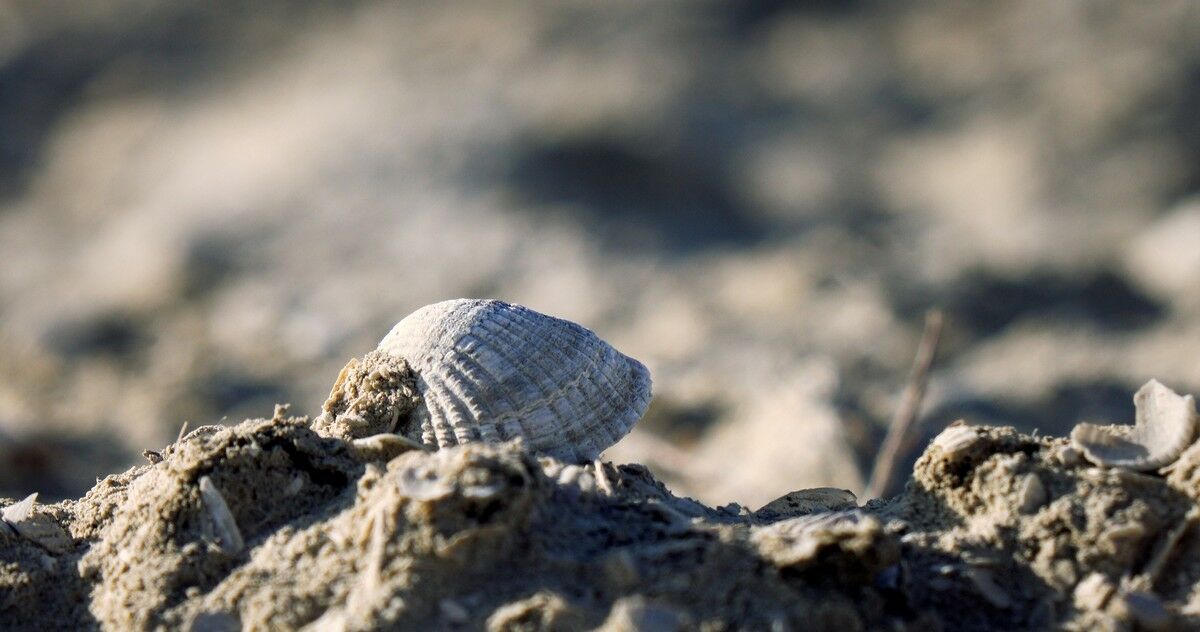 Последняя капля до точки невозврата – Фото №1 Последняя капля до точки невозврата – Фото №1