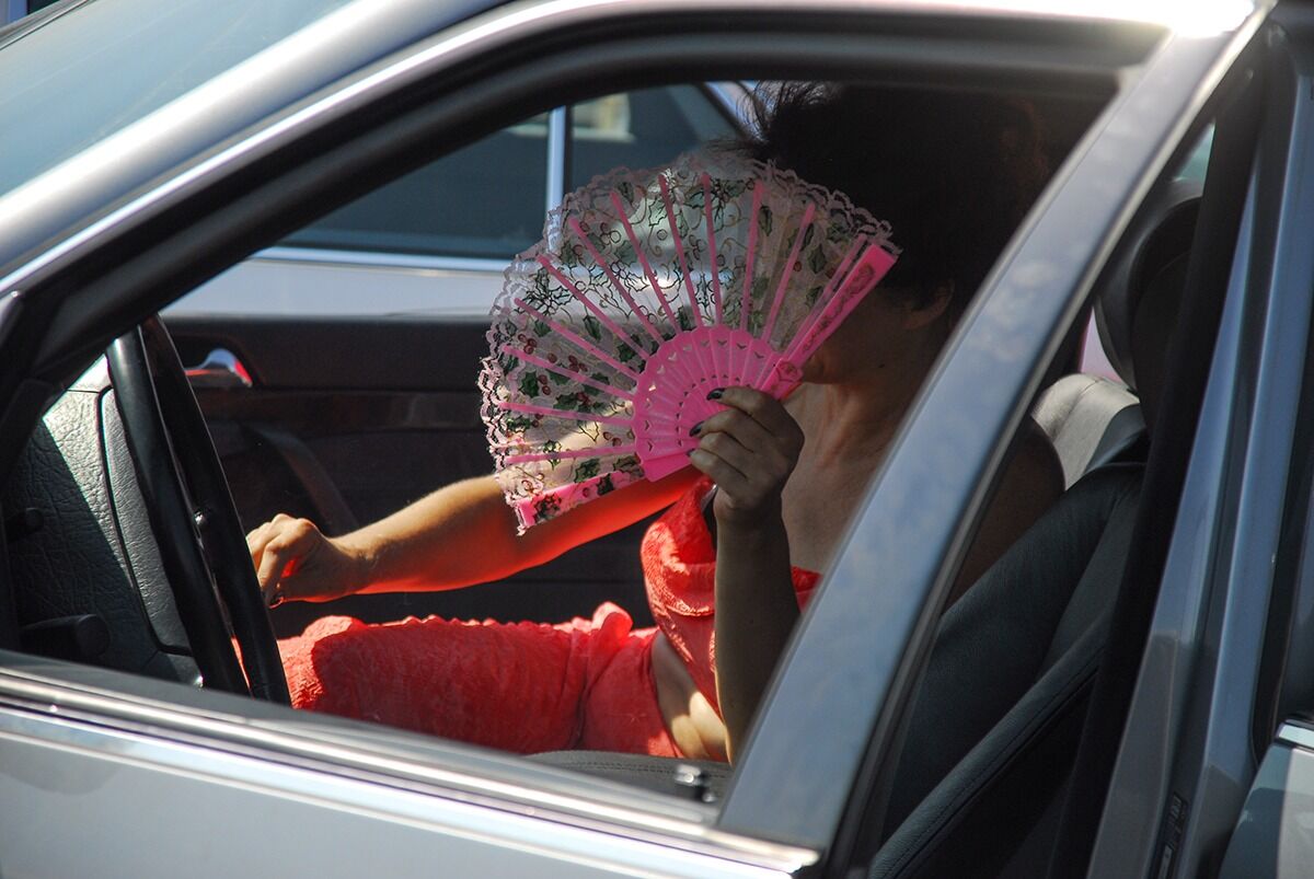 Попала в объектив