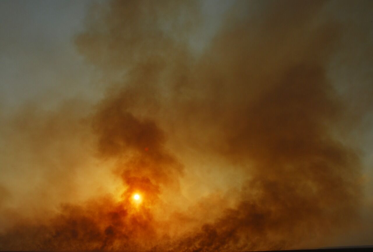 Ветром надуло