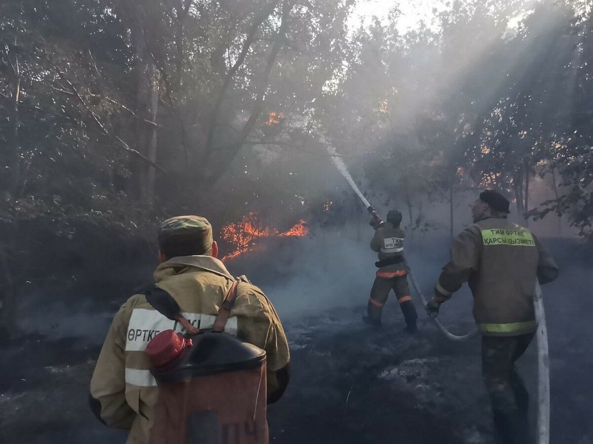 28 августа пожар. Хроника пожаров.