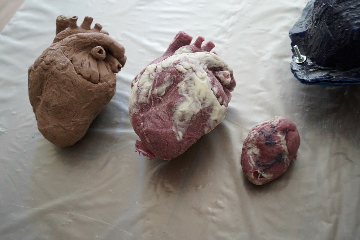 Лаборатория маньяков – Фото №3