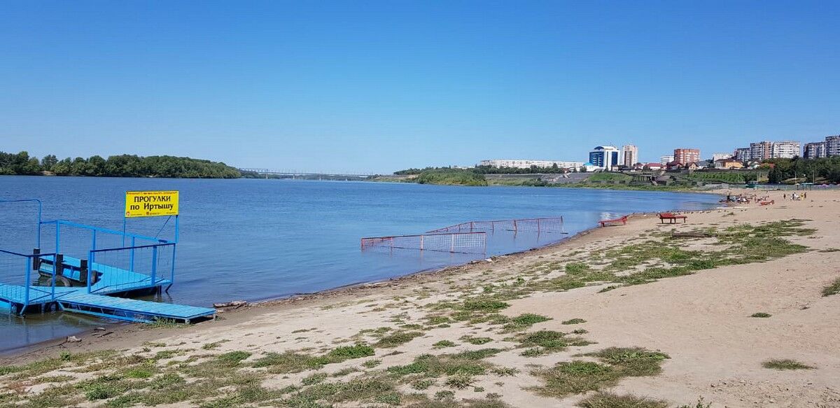 Печальная статистика после жаркого лета