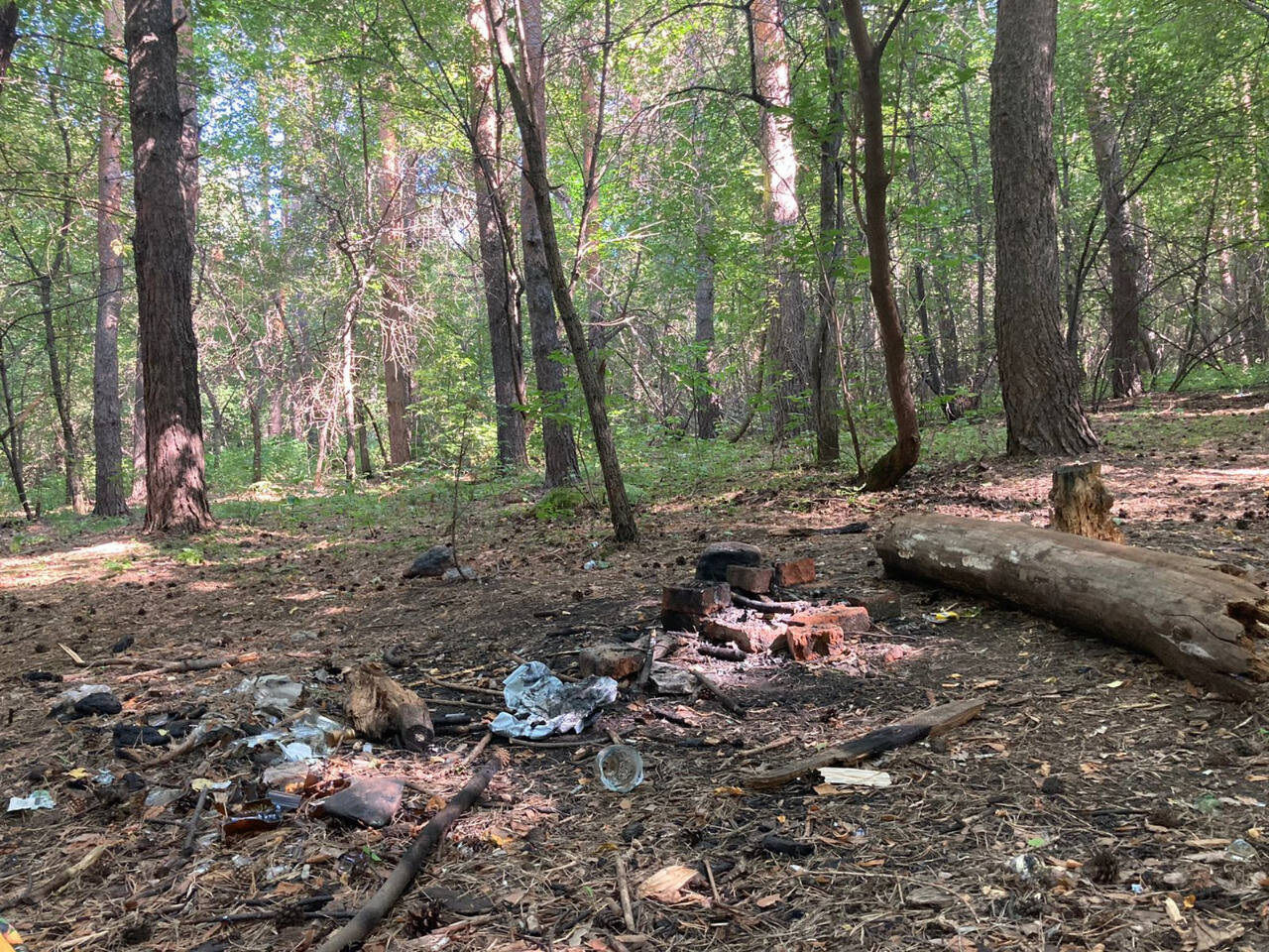 Пикник  для двоих