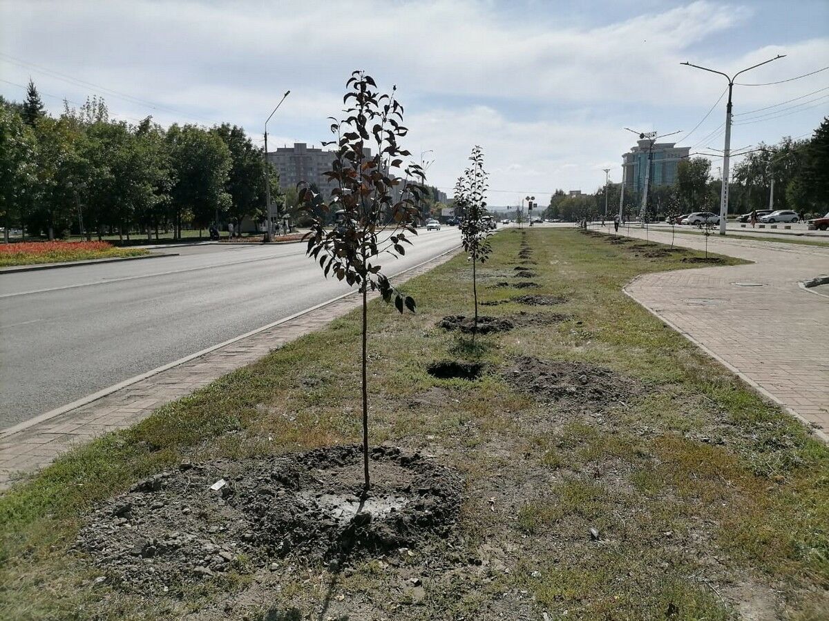 Аллея по заказу