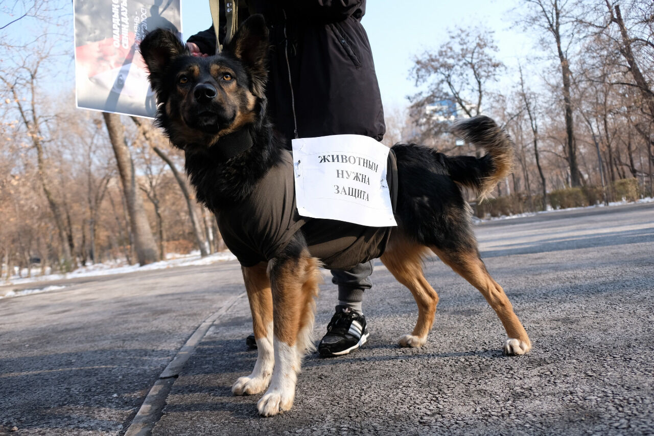 Переоценка ценностей