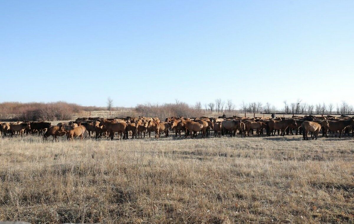 С места - в карьер