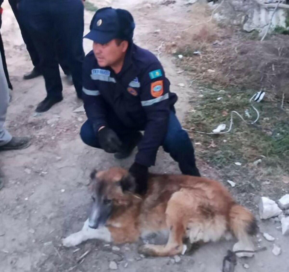 Протянули руку помощи четвероногому другу