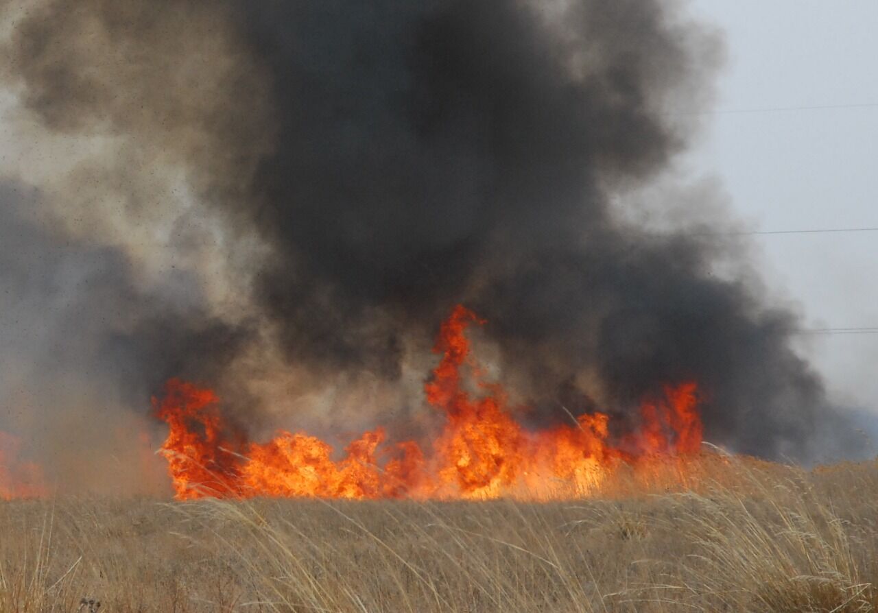 Никакого заговора