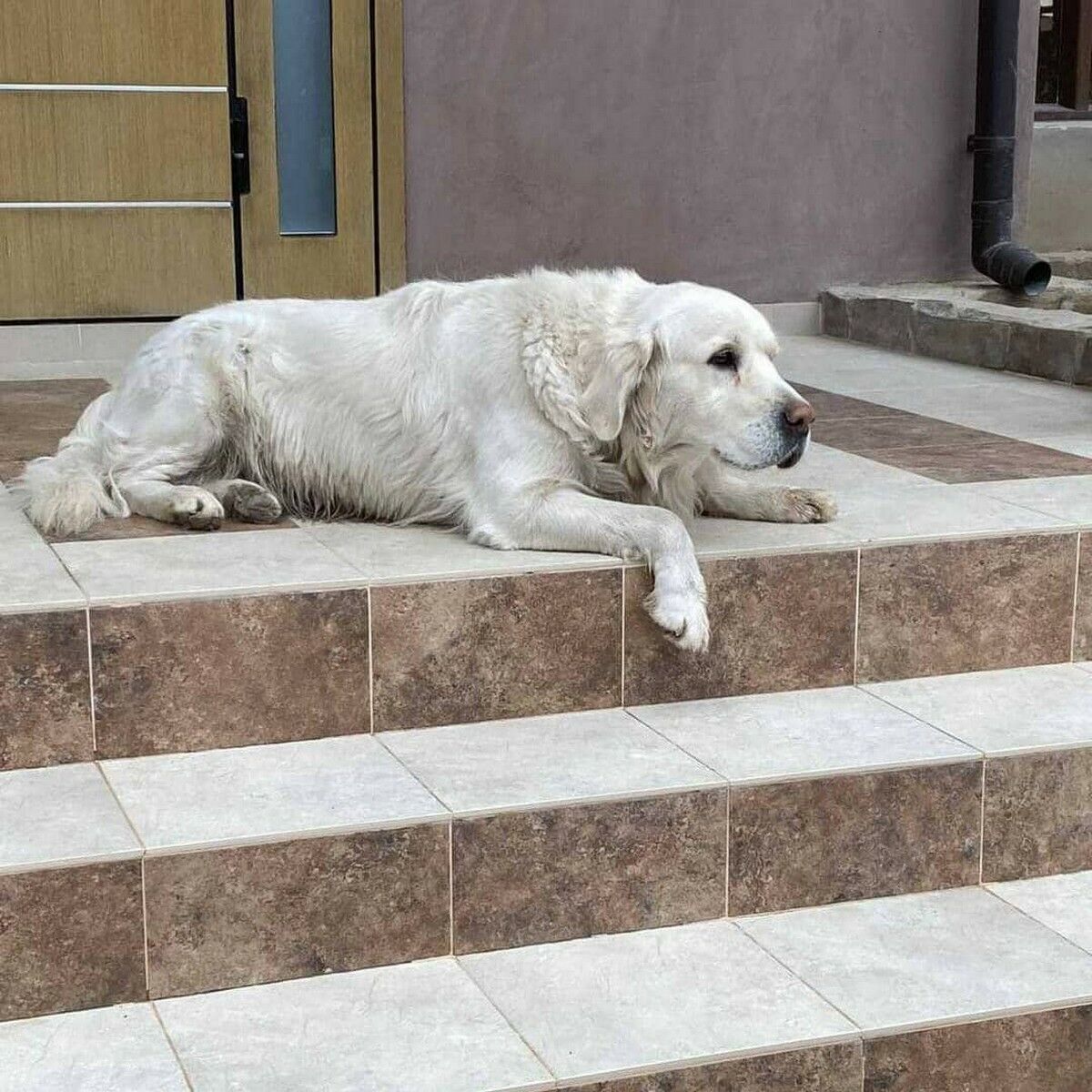 Это просто изверги...