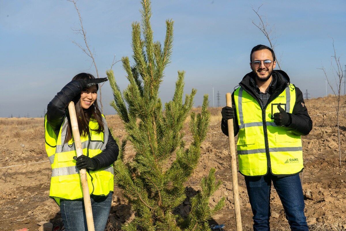 Построить дом, посадить дерево... – Фото №1