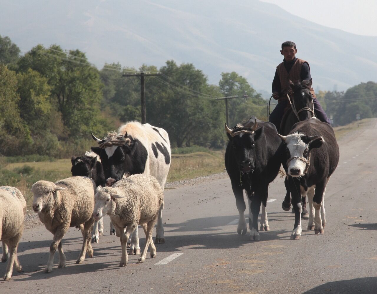 Задержания продолжаются