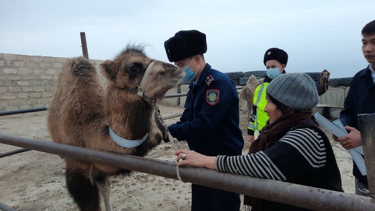 Метка вам  в помощь