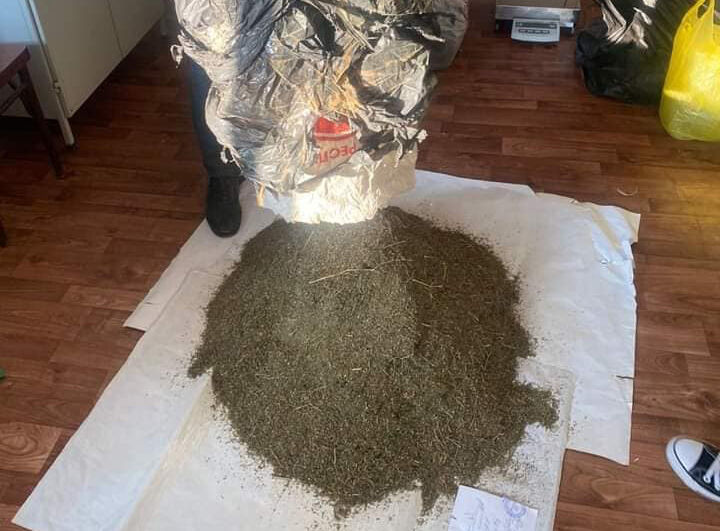 Пройдёмте в закрома