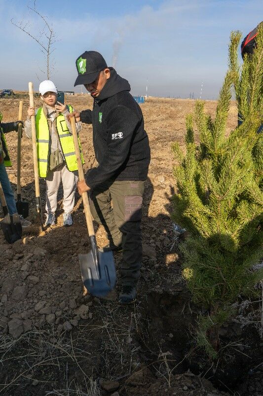 Построить дом, посадить дерево... – Фото №2