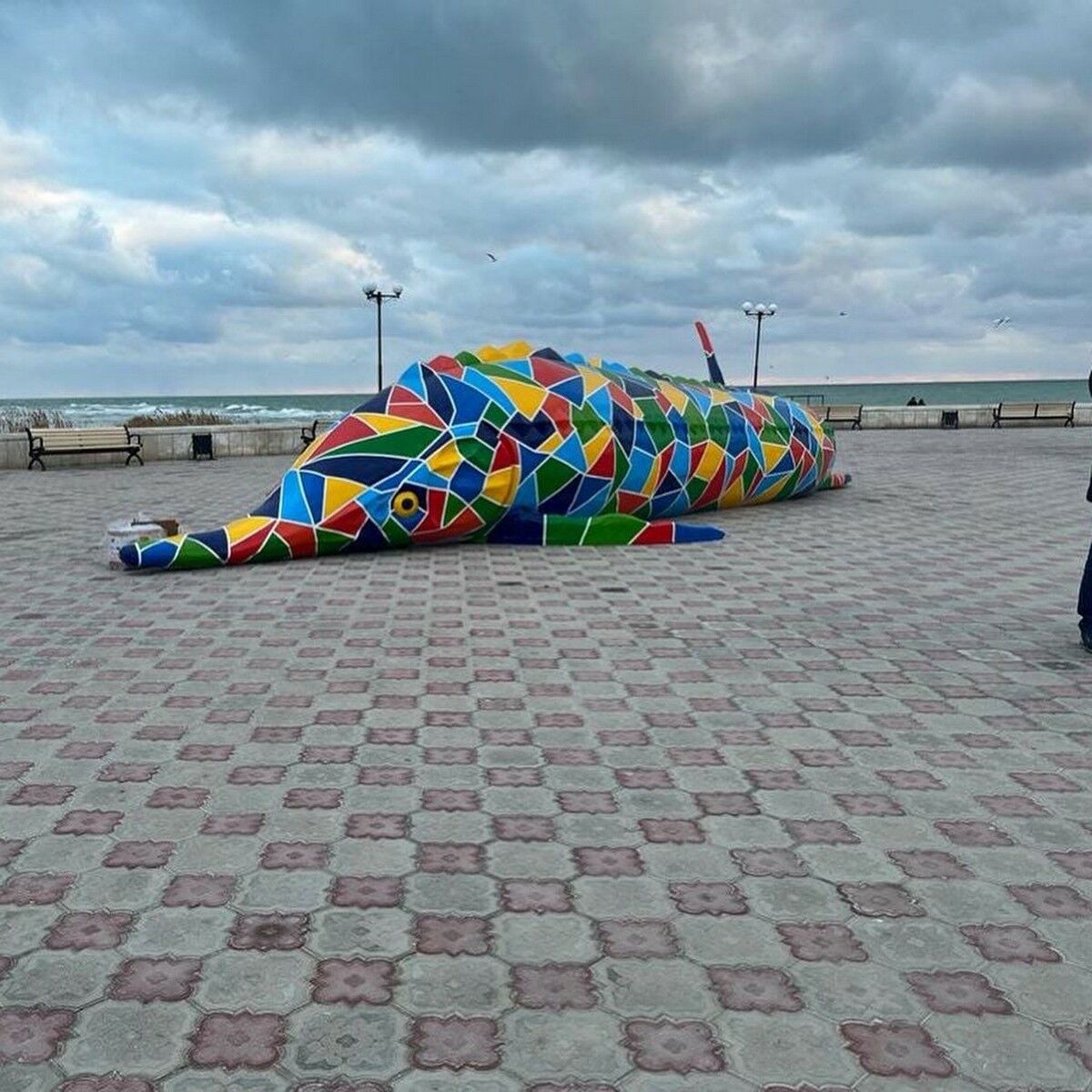 Осётр в сеточку