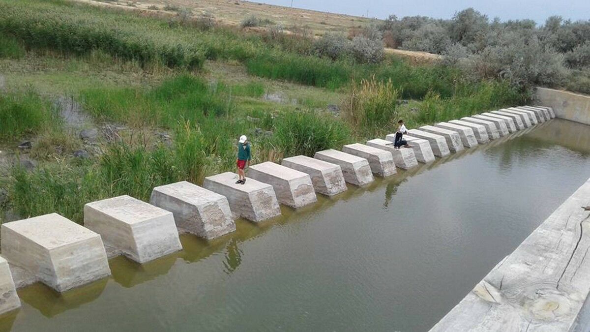 Не дать ему засохнуть