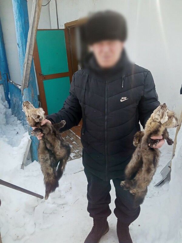 Псам на ужин