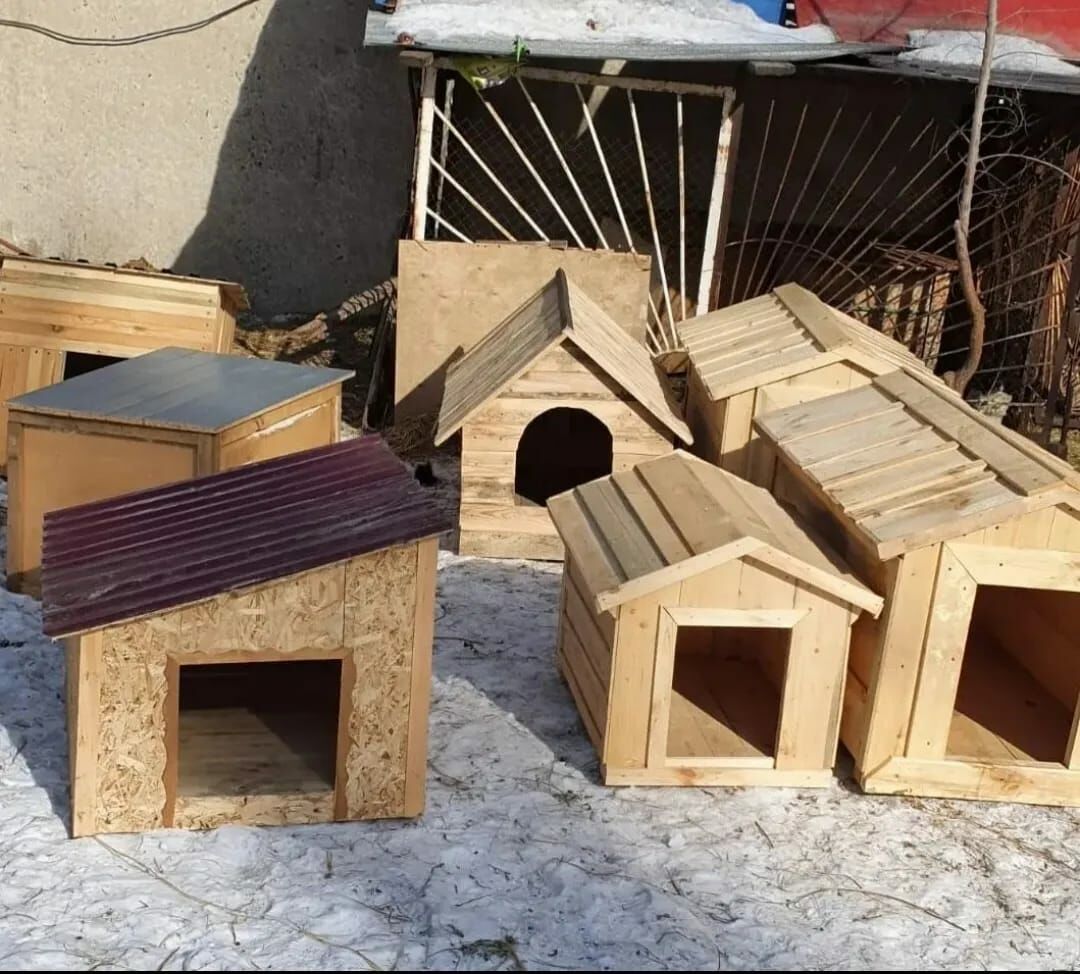 И меховые тапочки к будке