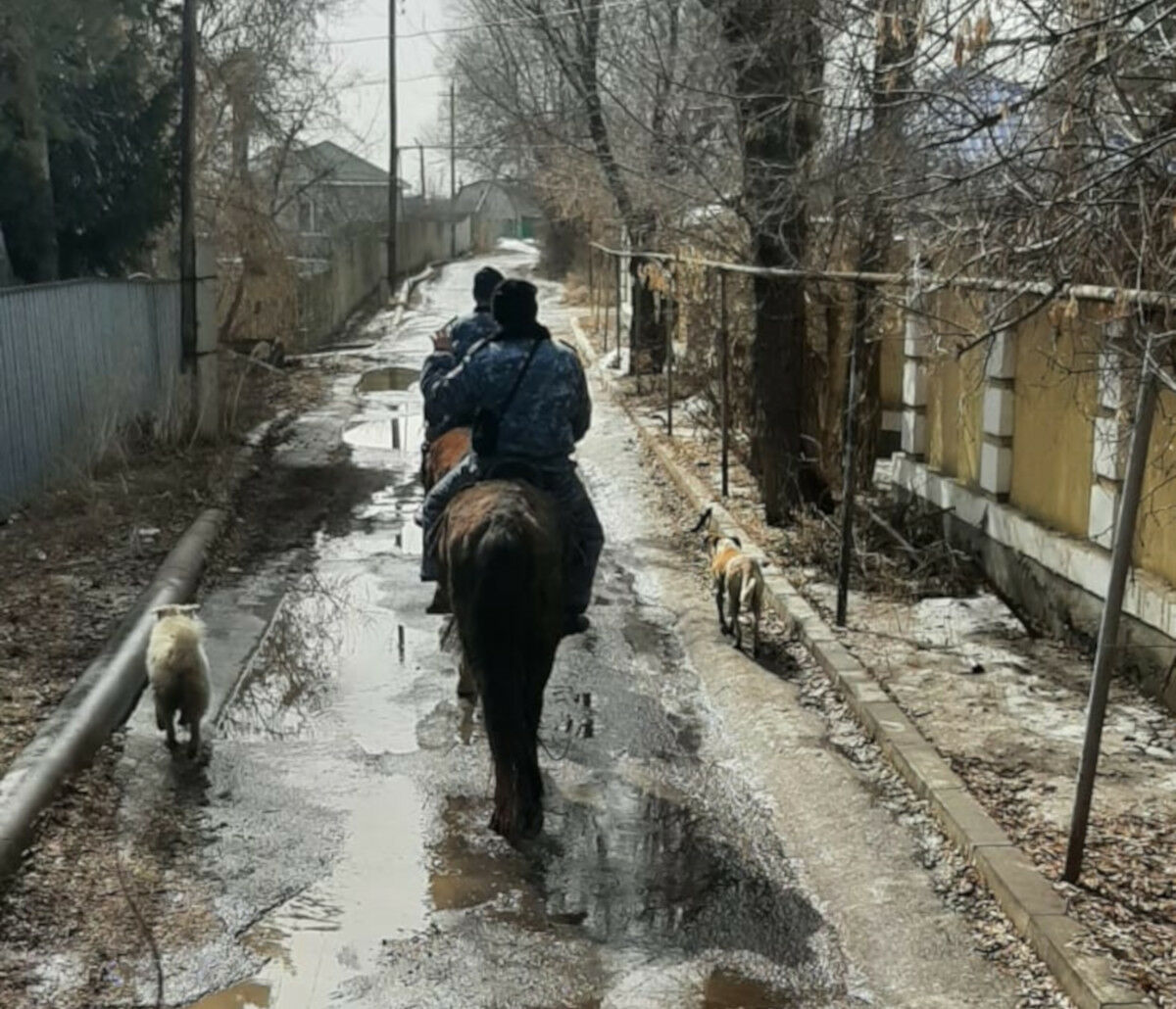 Полиция скачет по дачам