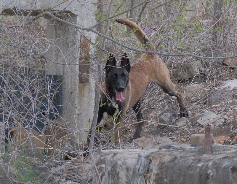 Вас нашли - теперь угощайте – Фото №2