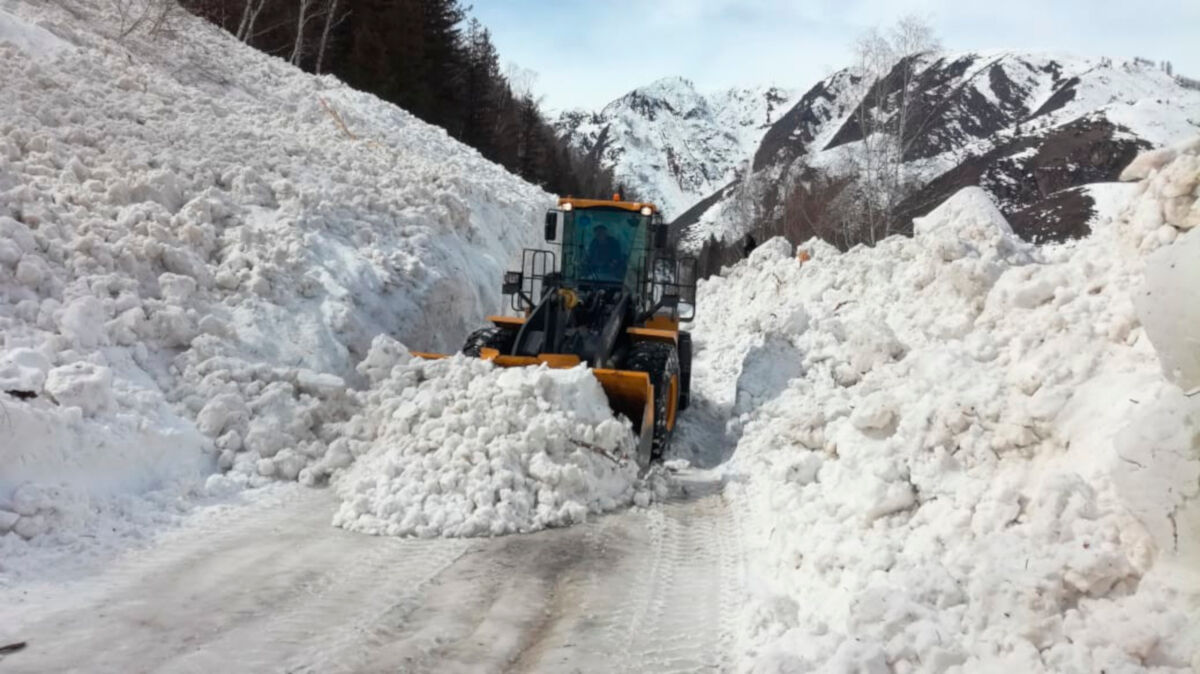 Снежная облава