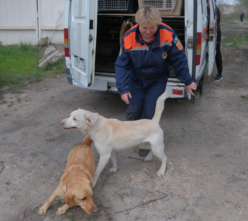Вас нашли - теперь угощайте – Фото №5